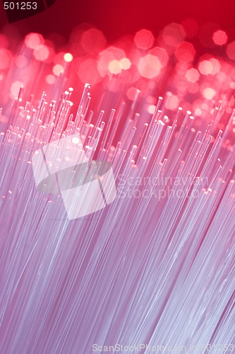 Image of Optical Fibers