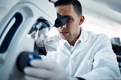 Image of Microscope, science and man scientist in a lab for research, medical and innovation. Healthcare, experiment and male expert with bacteria for development, observation or medical, sample and reaction