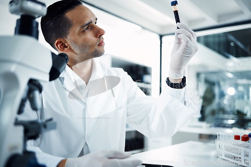 Image of Man, scientist and analysis of blood sample in test tube, DNA and science experiment in laboratory. Male doctor with gloves, study liquid with forensics, scientific innovation and medical research