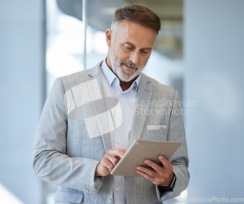 Image of Senior, business man and digital tablet in office for research, communication and planning. Internet, search and elderly male person online for schedule, email and networking plan at startup company