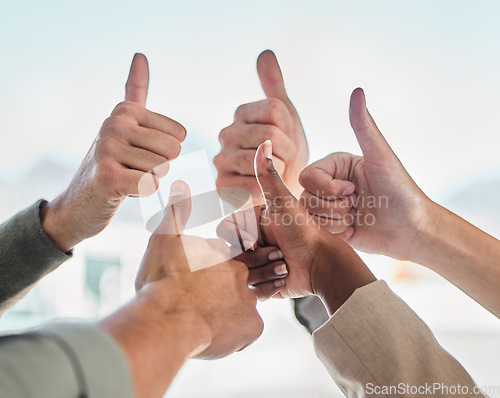 Image of Thumbs up, success or hands of business people with teamwork, motivation or diversity in a community. Thank you closeup, approve or yes hand sign gesture of group of employees with thumb up together