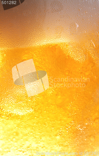 Image of Beer