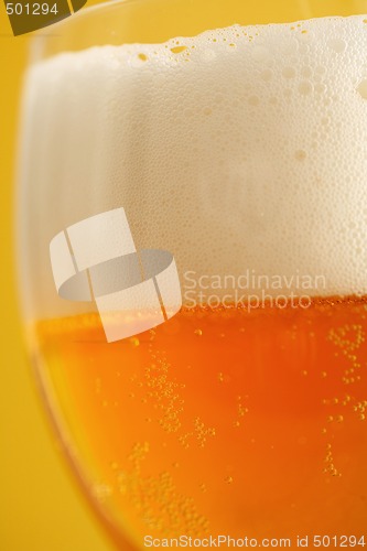 Image of Beer