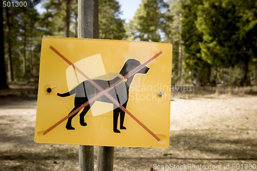 Image of Dogs not allowed