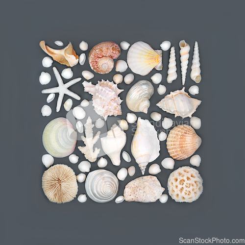 Image of Tropical Seashell Collection Abstract Design