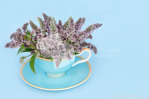 Image of Peppermint Flower Leaf Tea to Relieve Stress and Anxiety  