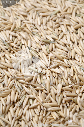 Image of Oats