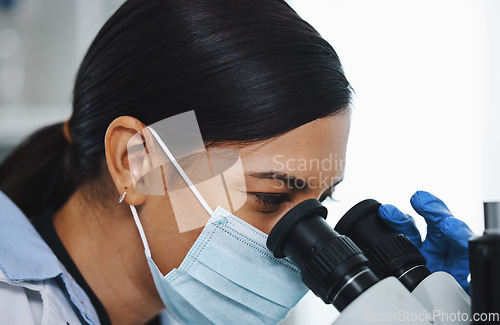 Image of Science, laboratory and woman with microscope for research, medical analysis and lab test. Healthcare, biotechnology and female scientist with equipment for sample, experiment and exam for virus