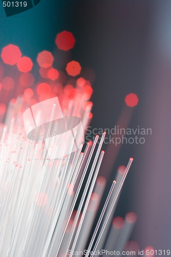 Image of Optical fibers