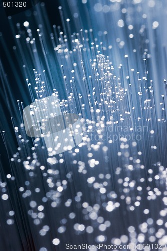 Image of Optical Fibers