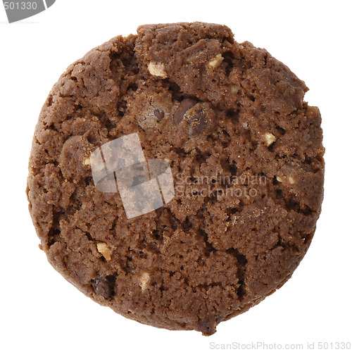 Image of Cookie