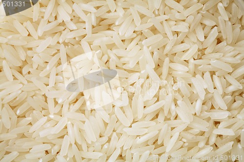 Image of Uncooked rice