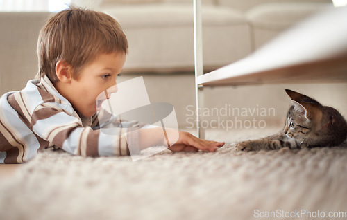 Image of Excited, playful and a boy with a cat on the floor for playing, meeting and bonding at home. Smile, bedroom and a child looking shocked at a kitten for a game, happiness and petting on the carpet