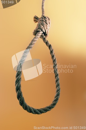 Image of Noose