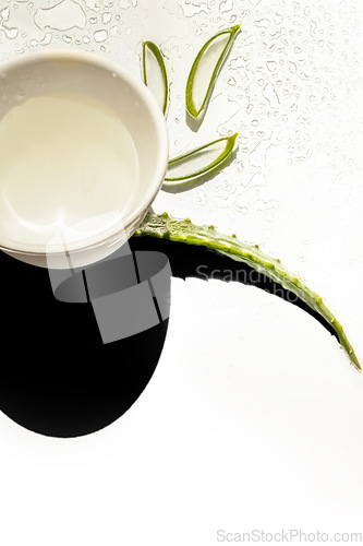 Image of Aloe vera, water and above of plant on a white background for natural treatment, wellness and skincare. Spa aesthetic, nature and leaf with drops in studio for organic, healthy and herbal ingredient