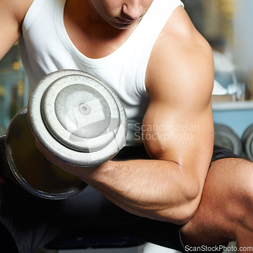 Image of Arm muscle, dumbbell exercise and man doing bicep workout, gym fitness routine or training for bodybuilding development. Wellness health, strength and bodybuilder person working on weightlifting