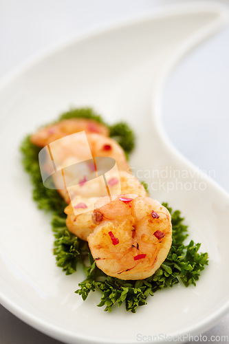 Image of Closeup parsley and prawn with nutrition, health and protein with healthy lifestyle, delicious and meal. Zoom, seafood on a plate and luxury fine dining with food, restaurant and expensive appetizer