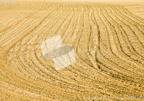 Image of plowed agriculture field