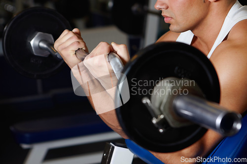 Image of Bench curling hands, barbell and man with iron, metal or steel gym equipment for muscle strength, power building or development. Weightlifting, determined focus and male athlete doing fitness circuit