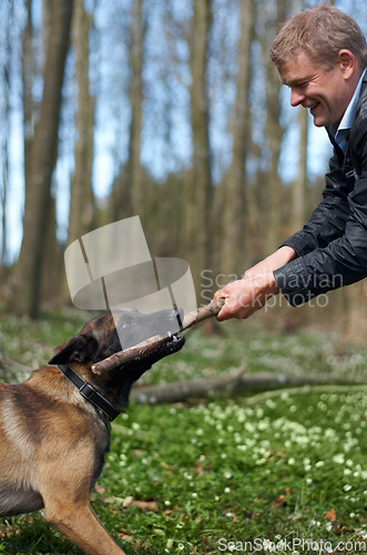 Image of Man, dog and pull stick in training with smile, play fetch in nature forest with games, exercise or learning. Hand, wood and pet animal with strong bite, happy or outdoor in countryside for health