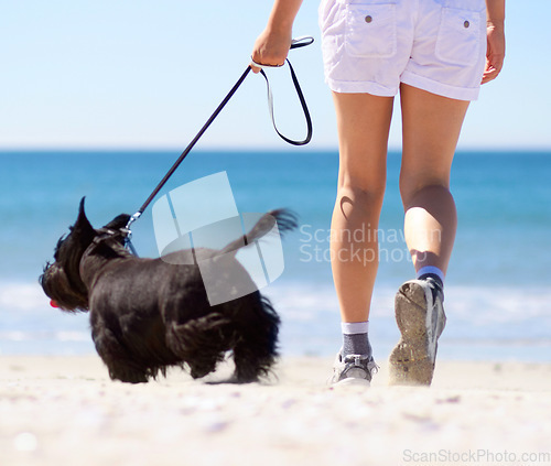 Image of Travel, summer and beach with woman and dog for walking, vacation trip and animal care. Health, energy and holiday with female and small pet on leash for break, training and peace by seaside