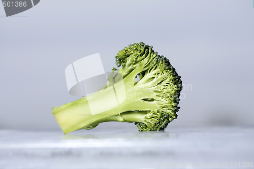 Image of Cool broccoli