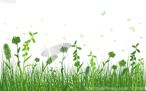 Image of Green Grass Meadow