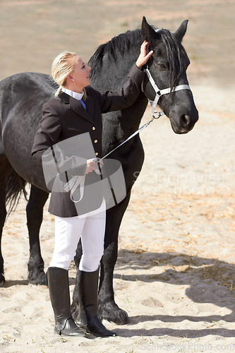 Image of Horse rider, trainer and woman on equestrian training and competition ground with a pet. Outdoor, female competitor and show horses stable with a girl stroking an animal before riding with helmet