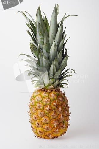 Image of Pineapple