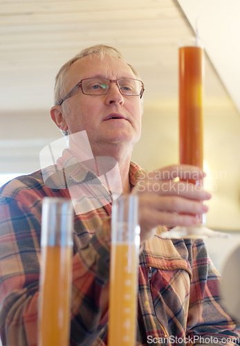 Image of Beer, production and quality control with a man brewing a batch of alcohol while testing the flavor or taste. Manufacturing, brewery and beverage with a male worker in a distillery to produce drinks