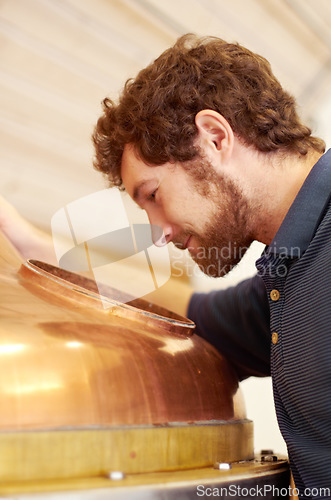 Image of Beer, brewery and production with man in factory for manufacturing, alcohol and quality control. Boiler, fermentation and inspection with male employee at distillery for expert, storage and industry