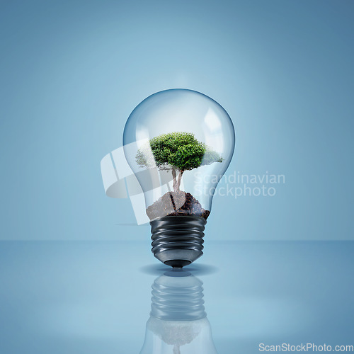 Image of Environment, tree in light bulb and save energy, eco friendly and sustainability with renewable resources on blue background. Sustainable development, innovation and electricity with mockup space