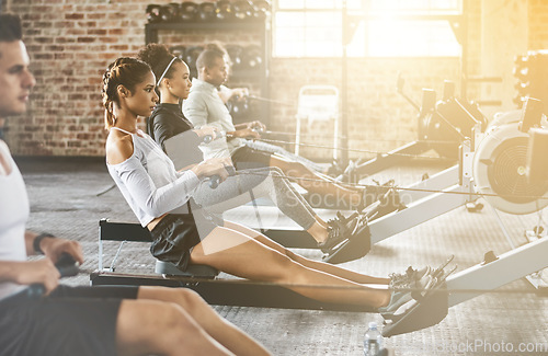 Image of Rowing machine, group and training in gym, class or fitness workout, exercise or cardio, row team and practice. People, healthy athlete and challenge on sport equipment, row crew and sports club