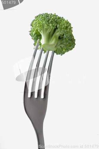 Image of Broccoli