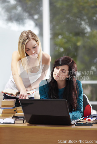 Image of Team, brainstorming and business women on laptop in office for planning, teamwork and strategy. Coaching, mentor and female colleagues online for feedback, review or advice for solution or proposal