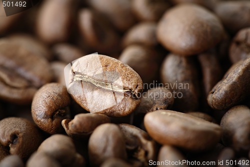 Image of Coffee bean