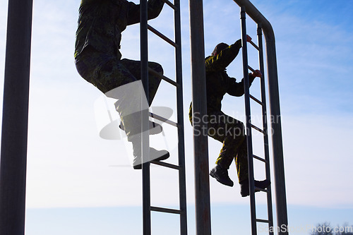 Image of Soldier in training, military men and climbing a ladder in obstacle course for fitness and endurance. Army team in camouflage uniform outdoor, train for war and exercise with mission and action