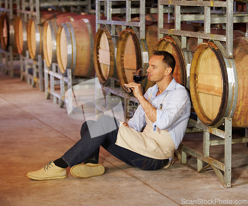 Image of Cellar, mature man wine tasting and sitting by a barrel in a warehouse. Wood cask storage, aging drink and a male sommelier holding or drinking a glass of alcohol or red blend in a factory working