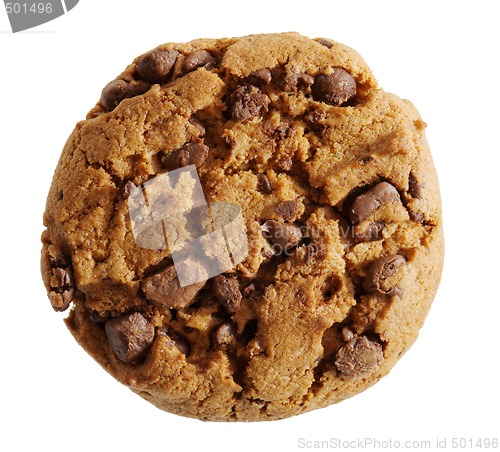 Image of Chocolate cookie