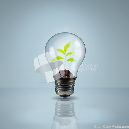 Image of Environment, plant in lightbulb and saving energy, eco friendly and ecology, renewable resources on studio background. Sustainable development, innovation and electricity with mockup and conservation