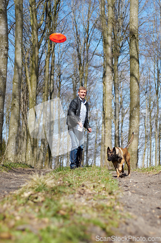 Image of Man, dog and outdoor with flying disc for game, learning and running in woods for health, exercise or freedom. Pet animal, plastic plate and workout for body, care and adventure with games in forest