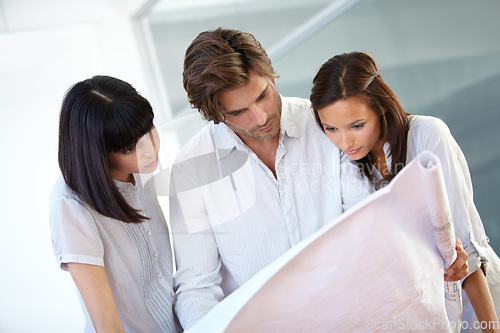 Image of Business people, architect and reading blueprint for construction planning, layout or ideas at the office. Group of contractors looking at floor plan or building paperwork for industrial architecture