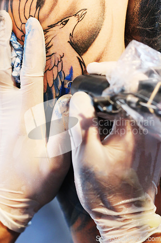 Image of Hands, arm and tattoo gun of artist with blue color ink for permanent bird illustration or precision tool. Closeup of graphic designer applying detail to arms for body art, coloring or drawing