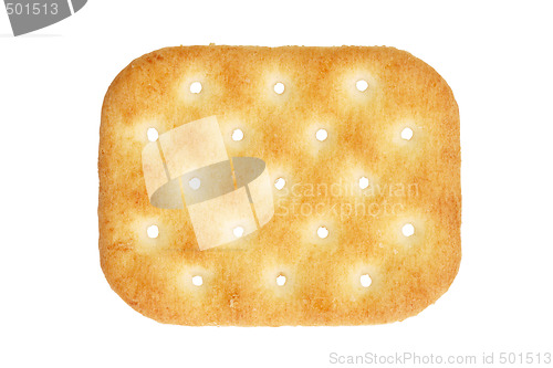 Image of salty cracker