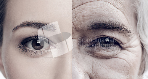 Image of Portrait, half and women faces in studio for skincare, wrinkles and anti aging care. Face, eyes and different closeup by women posing with youth, fine lines and cosmetic results for skin change