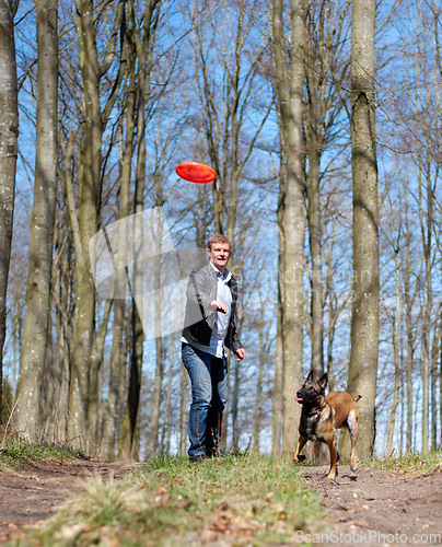 Image of Man, dog and park with flying disc for game, learning and running in forrest for health, exercise or freedom. Pet animal, plastic plate and workout for body, care and adventure with puppy in woods