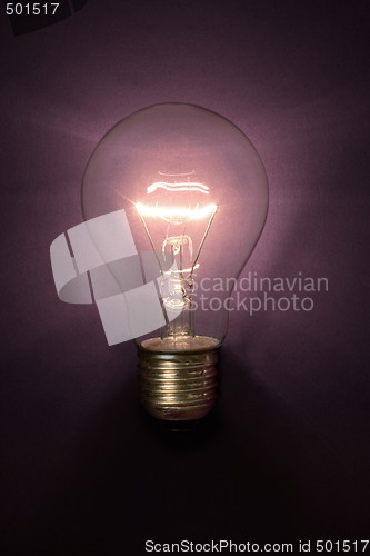 Image of Bulb