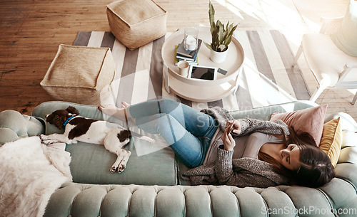 Image of Above, relax and a woman with a phone on the sofa for social media and communication with a dog. Happy, connectivity and a girl on the couch with a mobile app for conversation and chat with a pet