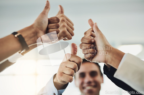 Image of Business people, hands and thumbs up for winning, success or teamwork achievement at office. Hand of employee group showing thumb emoji, yes sign or like in team win, victory or good job at workplace