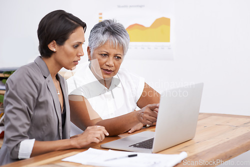 Image of Focus, teamwork and business women on computer in digital analytics, data analysis or review online report. Professional people reading results on laptop for seo planning, solution or problem solving